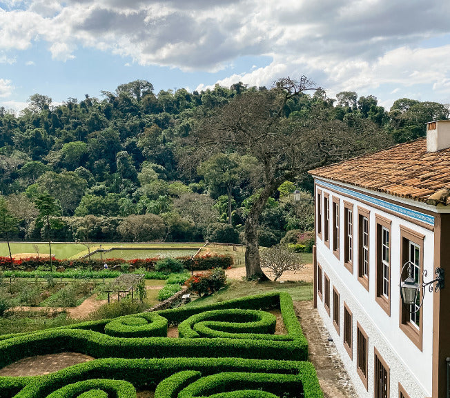 Brazil - Luzia Collective Peaberry #1