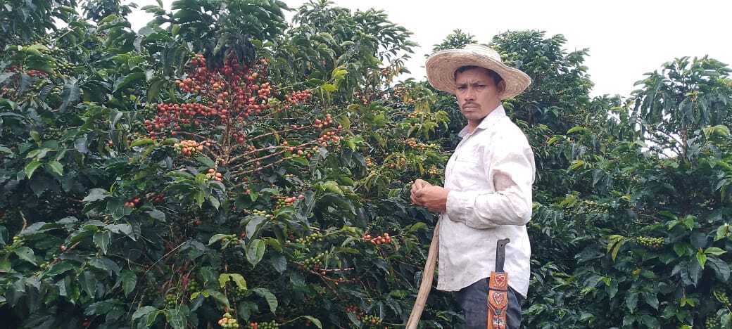 Colombia - Las Brisas #1 - Limited Edition