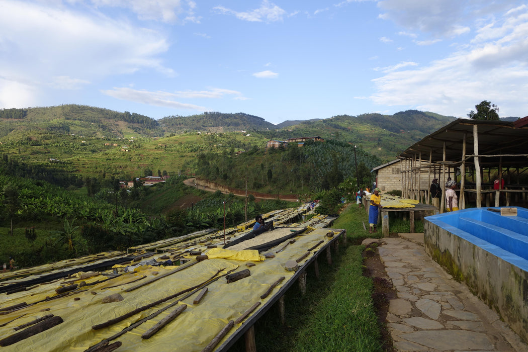 Rwanda - Gitesi #4