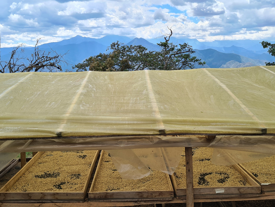 Peru - La Higuera, Dark Roast - Organic